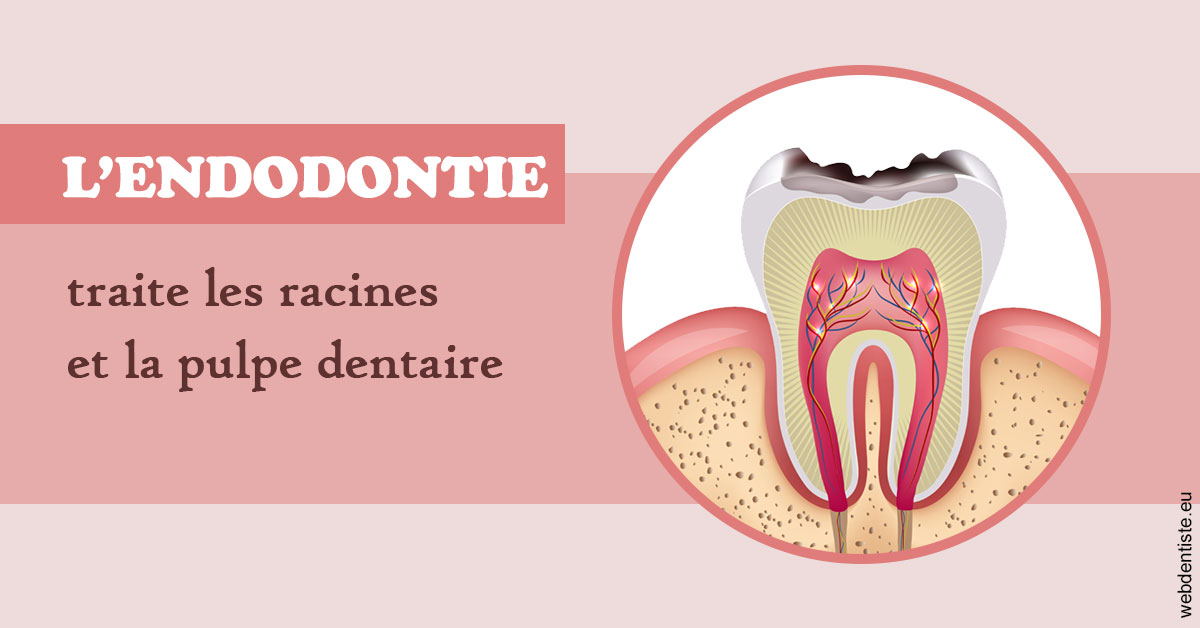https://dr-labret-olivier.chirurgiens-dentistes.fr/L'endodontie 2