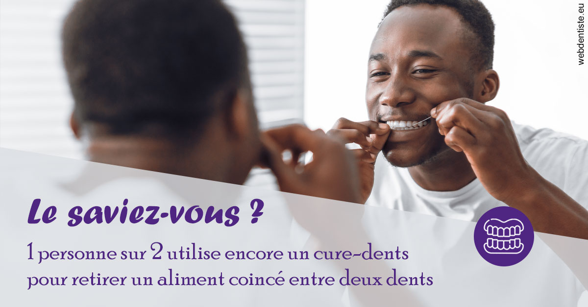 https://dr-labret-olivier.chirurgiens-dentistes.fr/Cure-dents 2