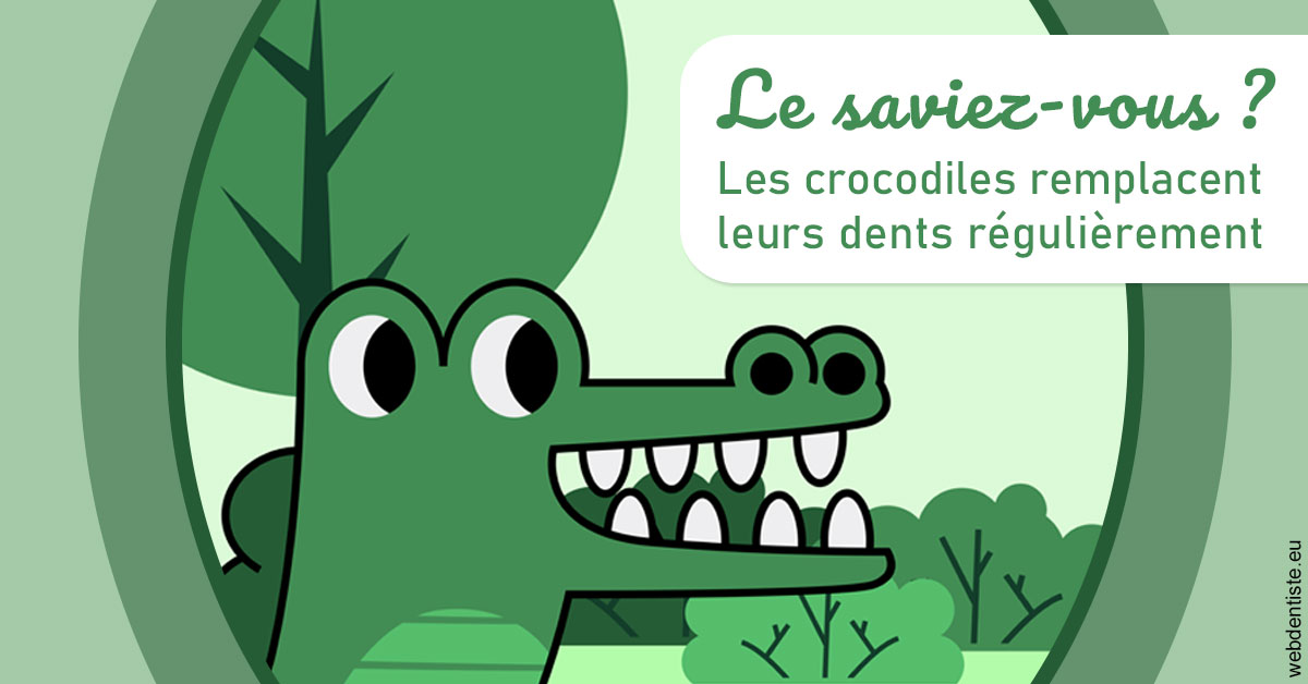 https://dr-labret-olivier.chirurgiens-dentistes.fr/Crocodiles 2