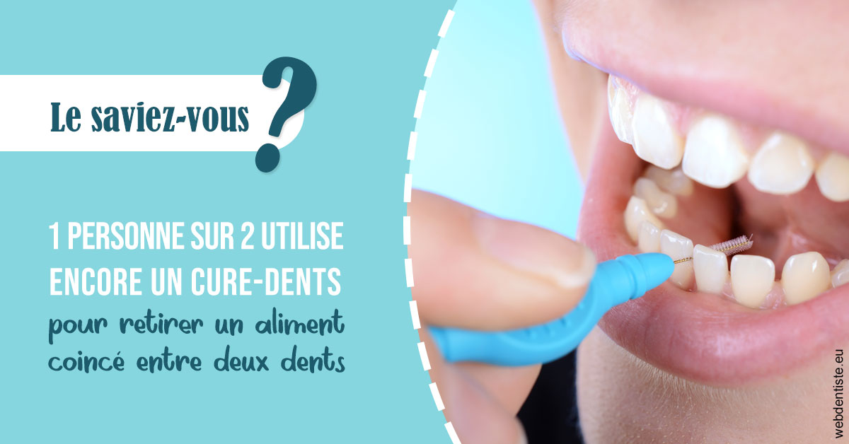 https://dr-labret-olivier.chirurgiens-dentistes.fr/Cure-dents 1