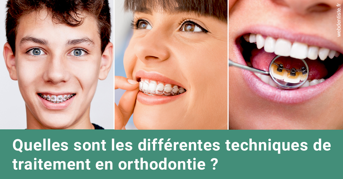 https://dr-labret-olivier.chirurgiens-dentistes.fr/Les différentes techniques de traitement 2