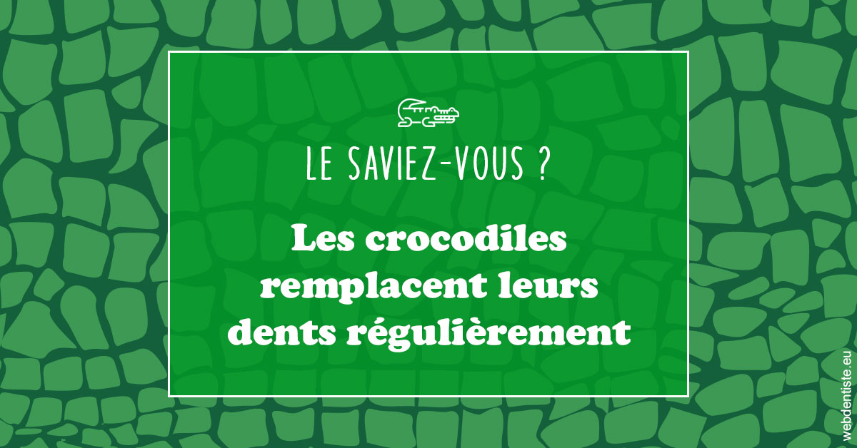 https://dr-labret-olivier.chirurgiens-dentistes.fr/Crocodiles 1